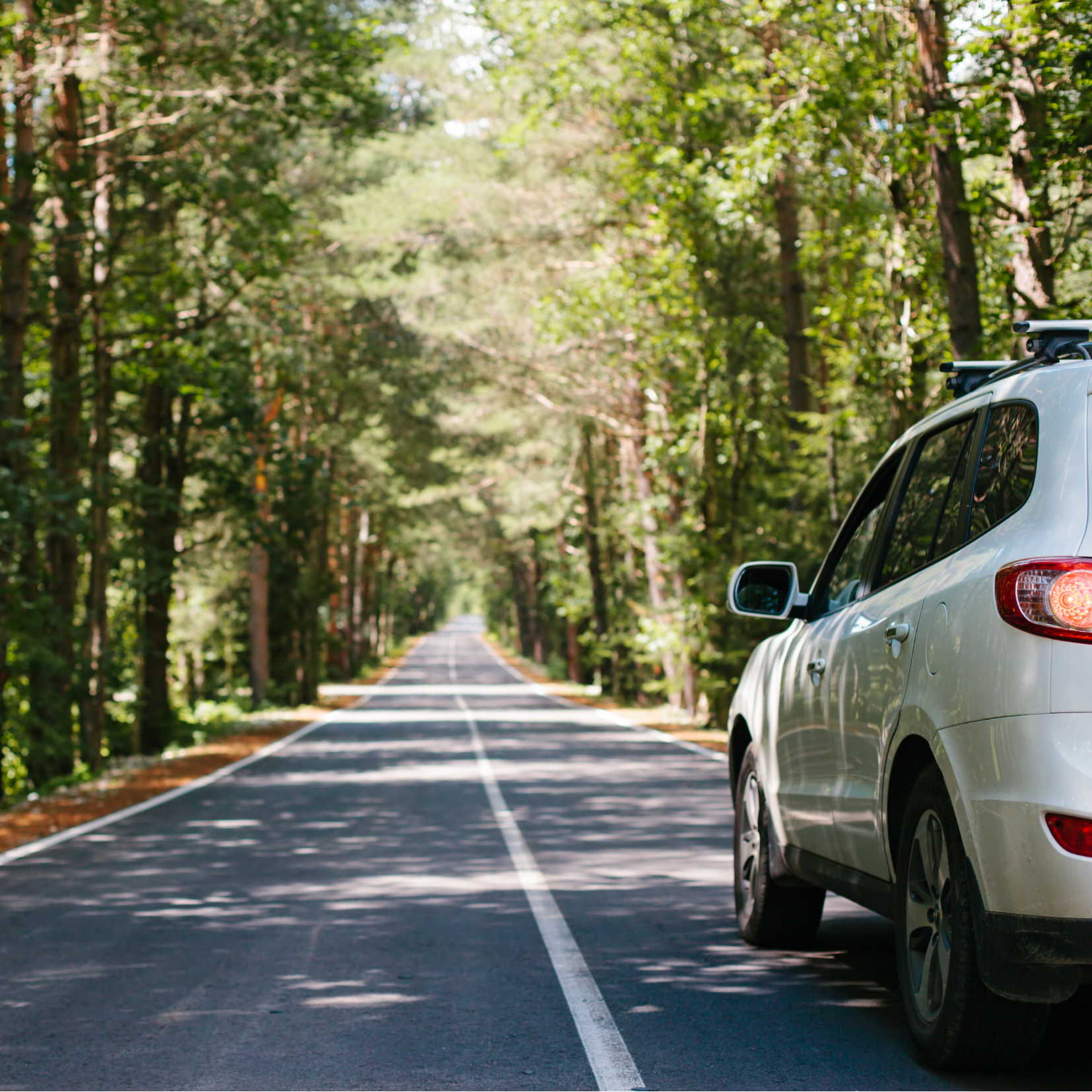 Blogbeitrag RTR Sommerflyer 25