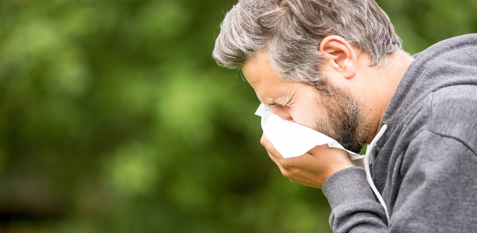 Wichtig für Allergiker: Wie Sie jetzt den Pollenfilter im Auto