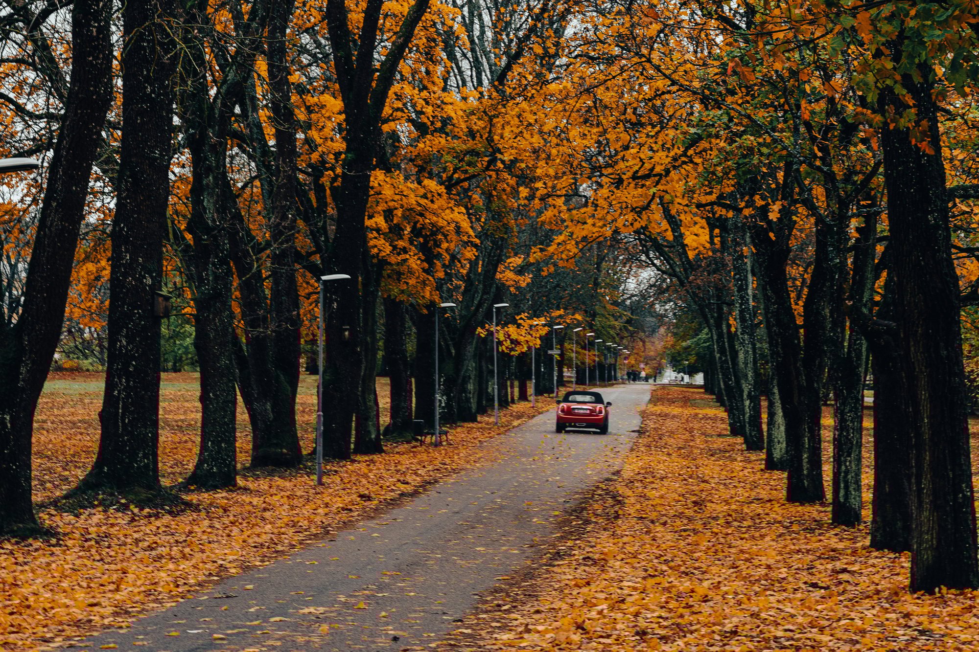 Auto Herbst-Landstraße