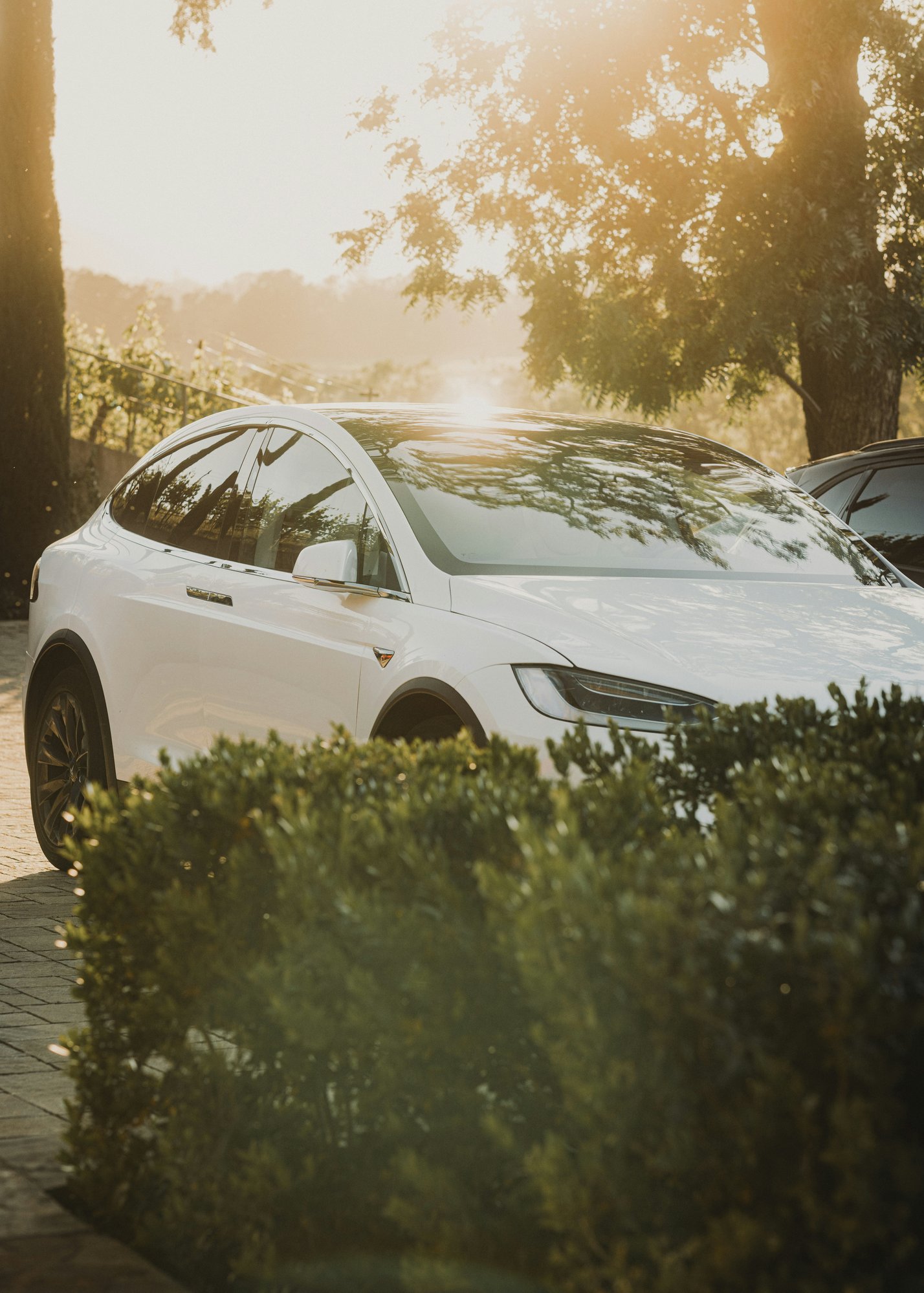 gilley-aguilar-WOHvg8C_DH0-unsplash gilley-aguilar-WOHvg8C_DH0-unsplash