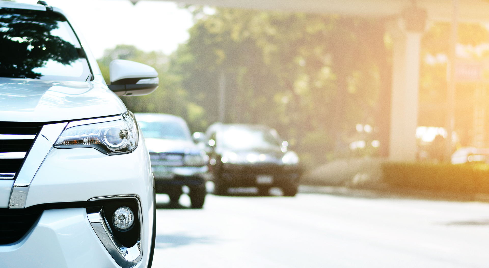 afc-portfolio-header