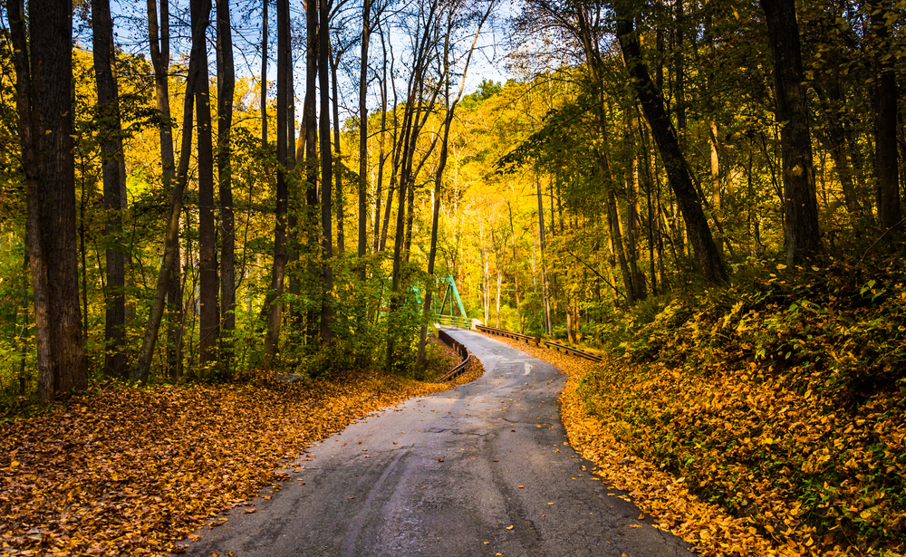 Sicher durch den Herbst – mit einem guten Gefühl unterwegs!